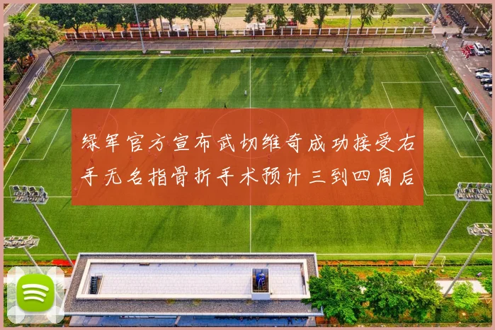 绿军官方宣布武切维奇成功接受右手无名指骨折手术预计三到四周后复查