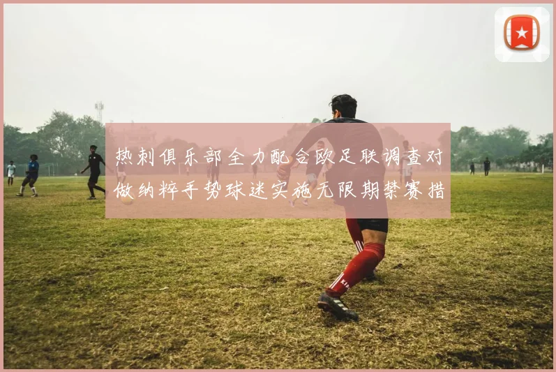 热刺俱乐部全力配合欧足联调查对做纳粹手势球迷实施无限期禁赛措施